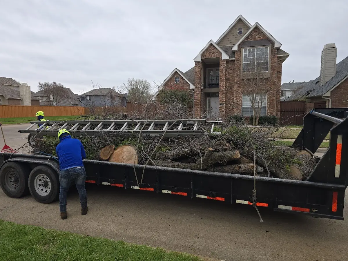 Expert Tree Fertilization with proper safety equipment in Haines